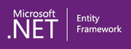 Developing Applications with Entity Framework 4.1 Logo